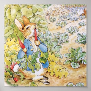Peter the Rabbit Eating a Carrot Poster