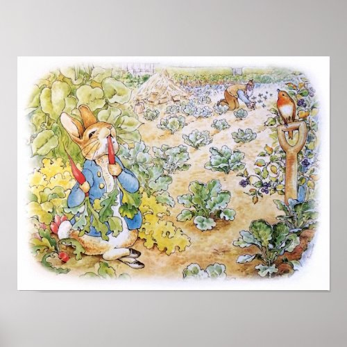 Peter the Rabbit Eating Carrots Poster