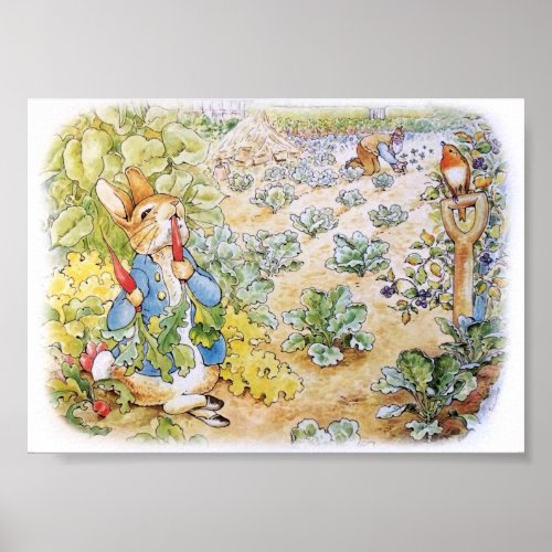 Peter the Rabbit Eating Carrots Poster