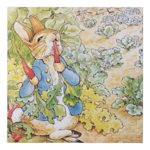 Peter the Rabbit Faux Canvas Print
