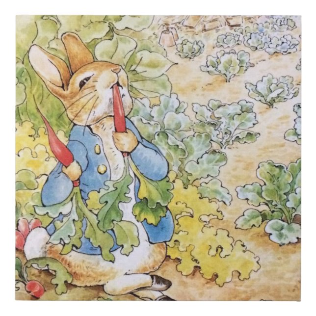 Peter the Rabbit Faux Canvas Print (Front)