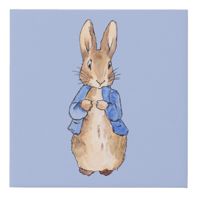 Peter the rabbit  faux canvas print (Front)