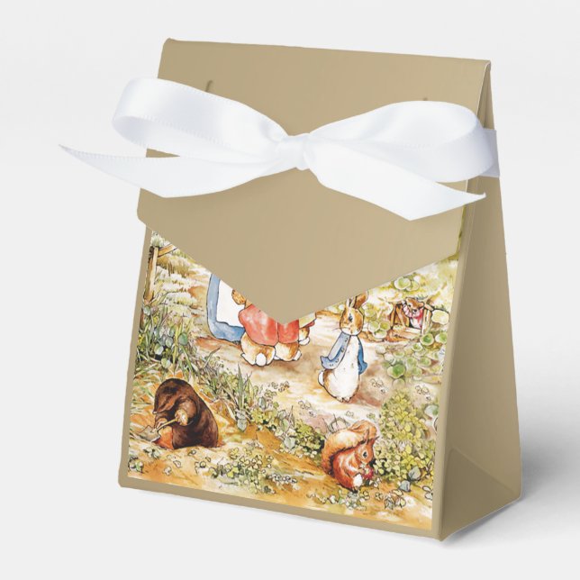 Peter the Rabbit  Favor Boxes (Front Side)