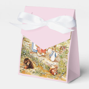 Peter the Rabbit Favor Boxes