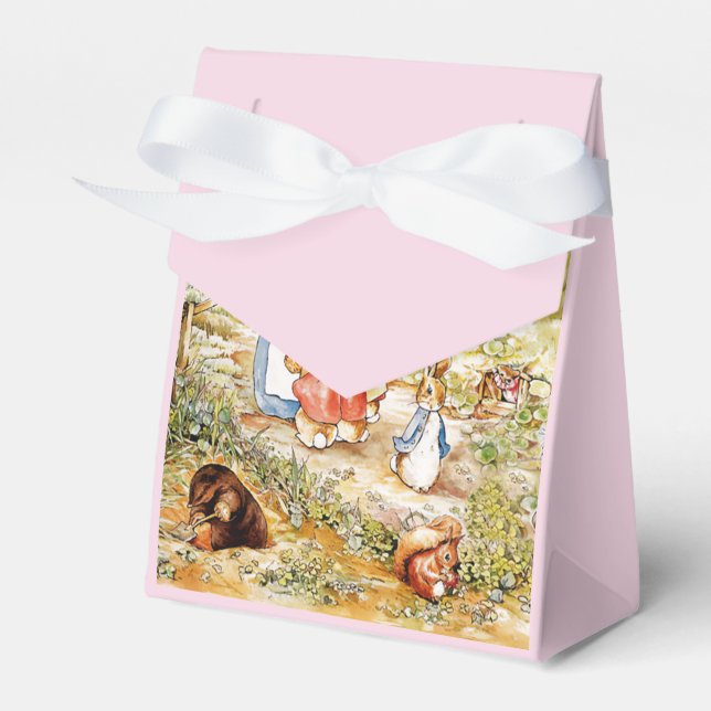 Peter the Rabbit  Favor Boxes (Front Side)