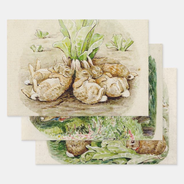 Peter the Rabbit Garden Baby Shower Wrapping Paper Sheets (Set)
