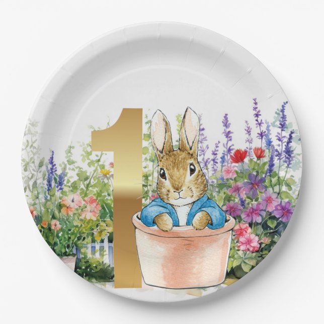 Peter the Rabbit in a pot first birthday Paper Plates (Front)