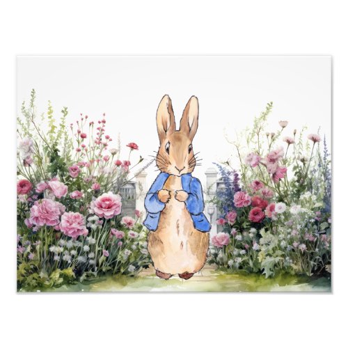 Peter the Rabbit in his garden No 2 Photo Print