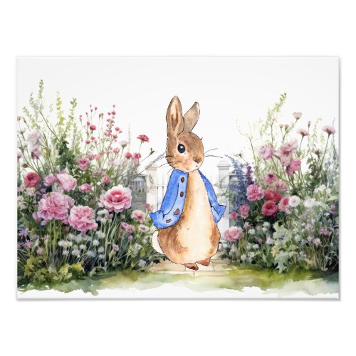 Peter the Rabbit in his garden Photo Print