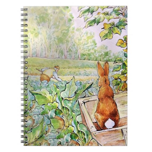 Peter the Rabbit in Mr Mc Gregors Vegie Garden   Notebook