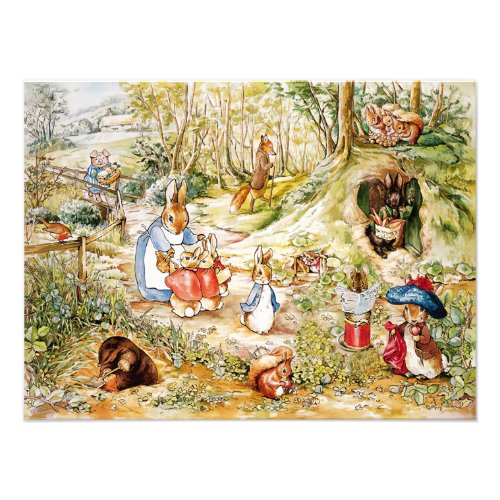 Peter the Rabbit in the Woods Photo Print