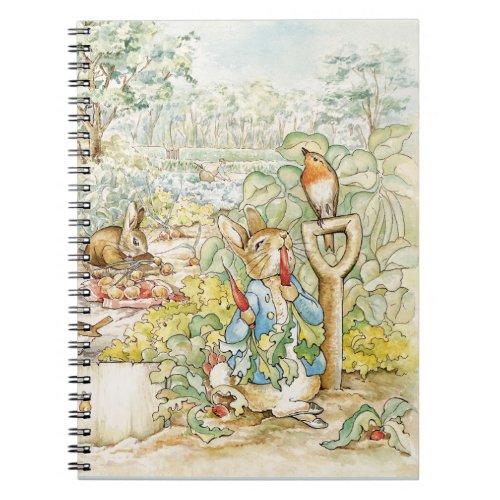 Peter the Rabbit  Notebook