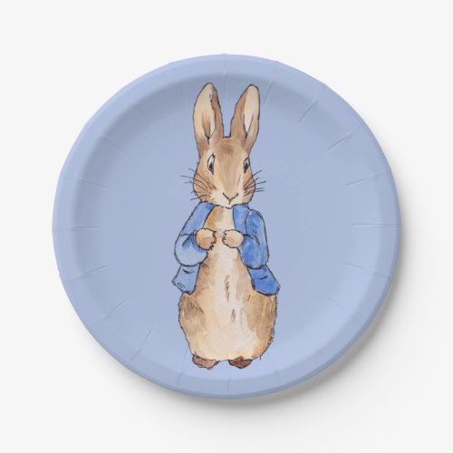 Peter the Rabbit  Paper Plates