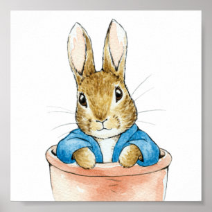Peter the Rabbit Sitting in a Plant Pot Poster