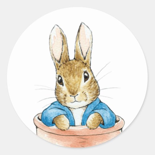 Peter the Rabbit Sitting in a Pot   Classic Round Sticker