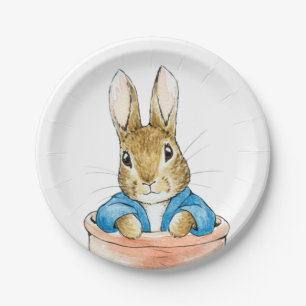 Peter the Rabbit Sitting in a Pot    Paper Plates