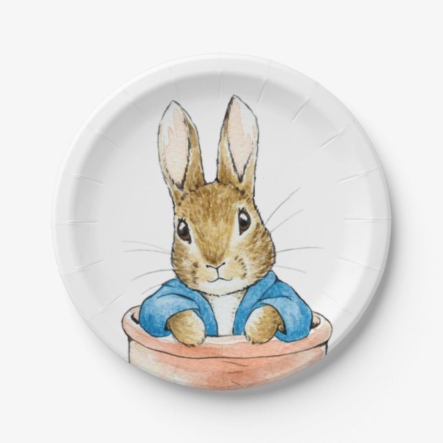 Peter the Rabbit Sitting in a Pot    Paper Plates (Front)