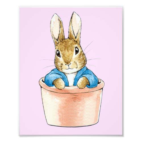 Peter the Rabbit Sitting in a Pot  Photo Print