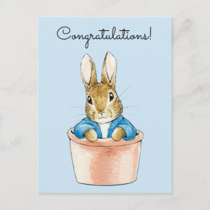 Peter the Rabbit Sitting in a Pot  Postcard
