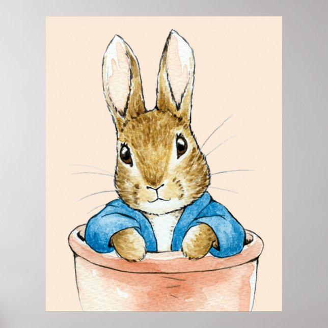 Peter the Rabbit Sitting in a Pot Poster (Front)