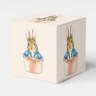 Peter the Rabbit Sitting in Plant Pot Favor Boxes