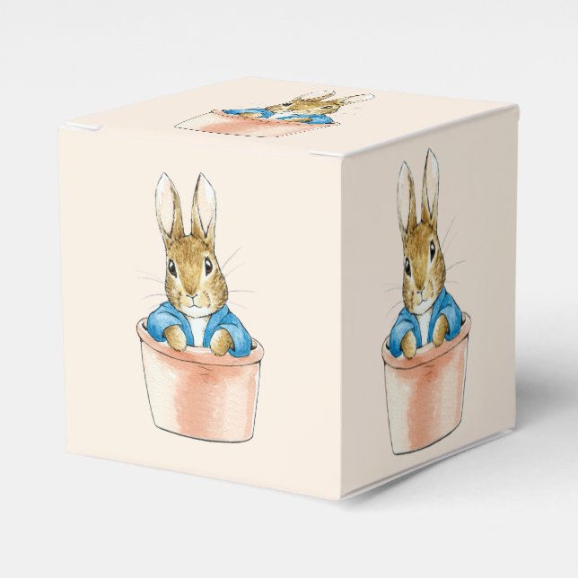 Peter the Rabbit Sitting in Plant Pot Favor Boxes (Front Side)