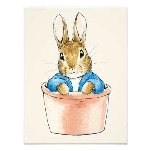 Peter the Rabbit Sitting in Plant Pot Photo Print