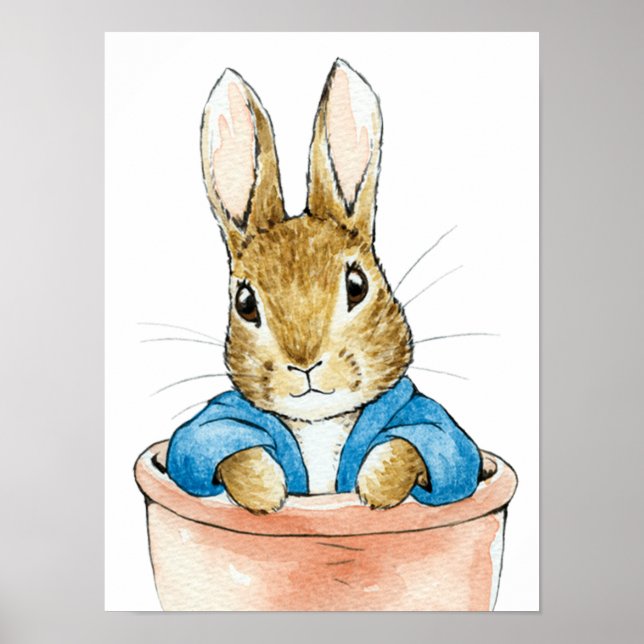 Peter the Rabbit Sitting in Plant Pot        Poster (Front)