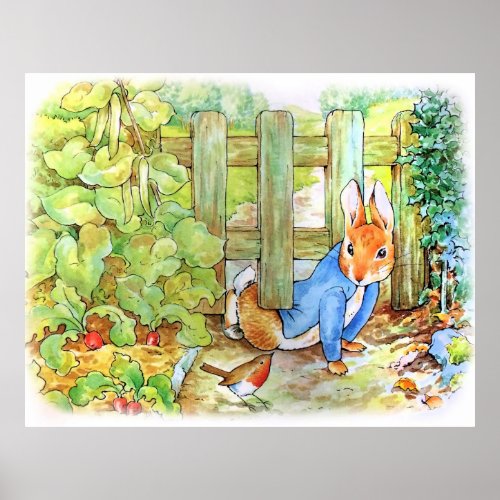 Peter the Rabbit Sneaking into Mc Gregors Garden Poster