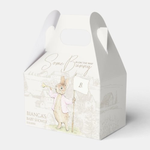 Peter the Rabbit Some Bunny Baby Shower Pink Favor Boxes