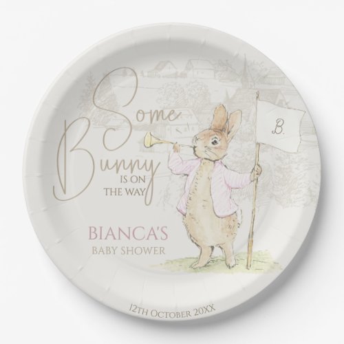 Peter the Rabbit Some Bunny Baby Shower Pink Paper Plates