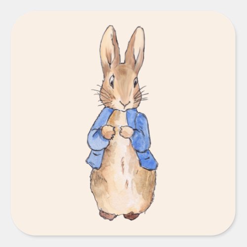 Peter the Rabbit Square Sticker