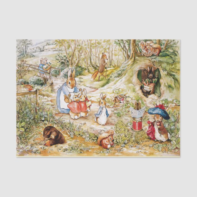 Peter the rabbit  tissue paper (Front)