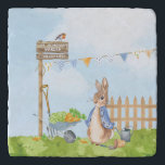 Peter the Rabbit Trivet<br><div class="desc">Peter the Rabbit</div>