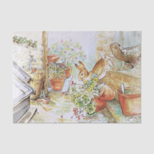 Peter the rabbit tumbling in garden shed tissue paper