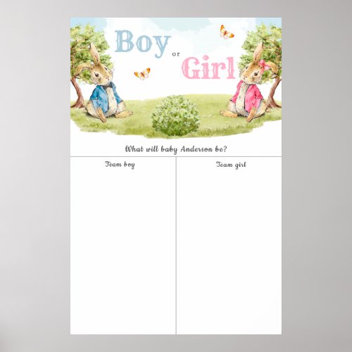 Peter The Rebbit Boy or Girl Gender Reveal Voting Poster