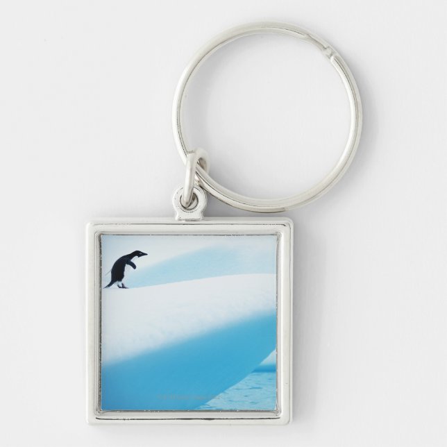 Petermann Island, Antarctica Keychain (Front)