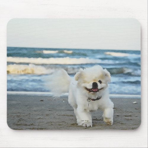 Petes Beach Mouse Pad