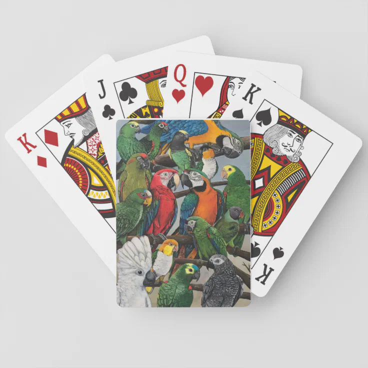 Pete's Parrots - Exotic Playing Cards | Zazzle