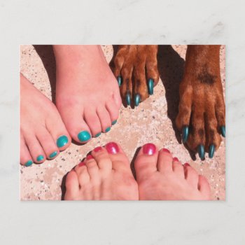 Peticure - Pedicure Spa Day Postcard by FrankzPawPrintz at Zazzle