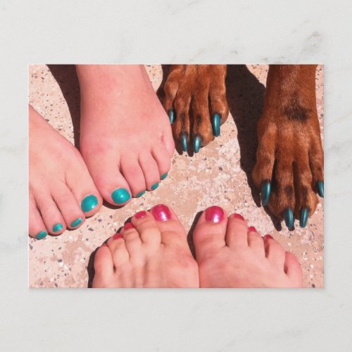 Peticure _ Pedicure Spa Day Postcard