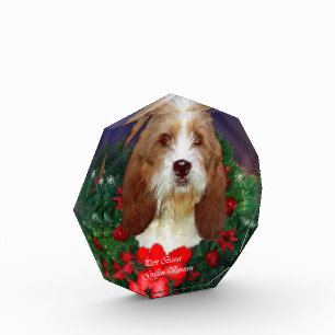 Petit Basset Griffon Vendeen Award