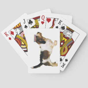Petit Basset Griffon Vendeen Dapper Poker Cards