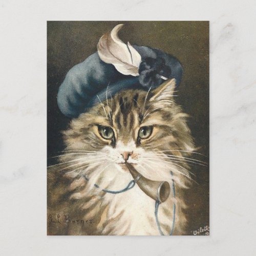 Petit garon bleu chat postcard