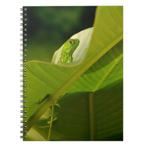 Petit lzard vert sur une feuille notebook