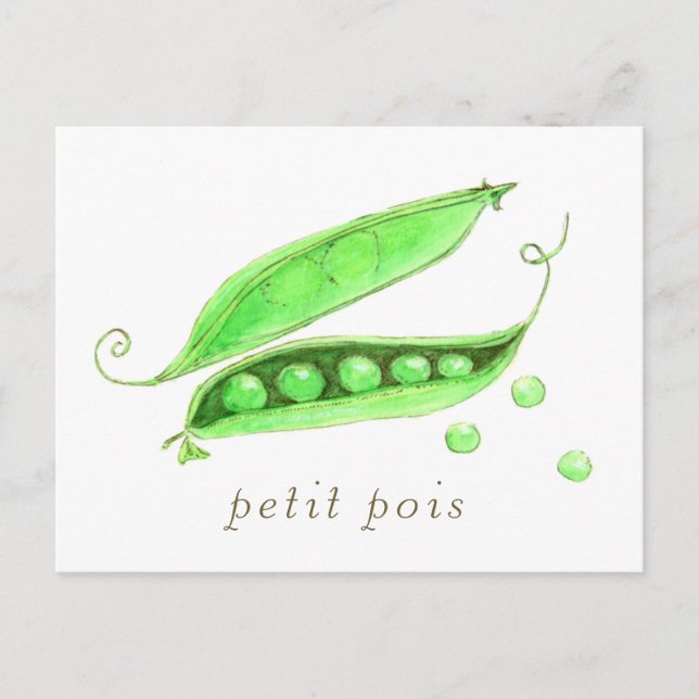 Petit Pois  Postcard (Front)