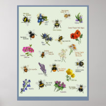 PetitArt | British Bee & Wild flower