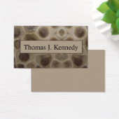 Petoskey Stone (Desk)