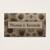 Petoskey Stone (Front)