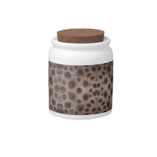 Petoskey Stone Candy Jar
